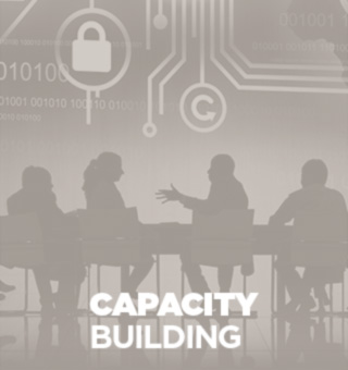 Services-Capacity-Building
